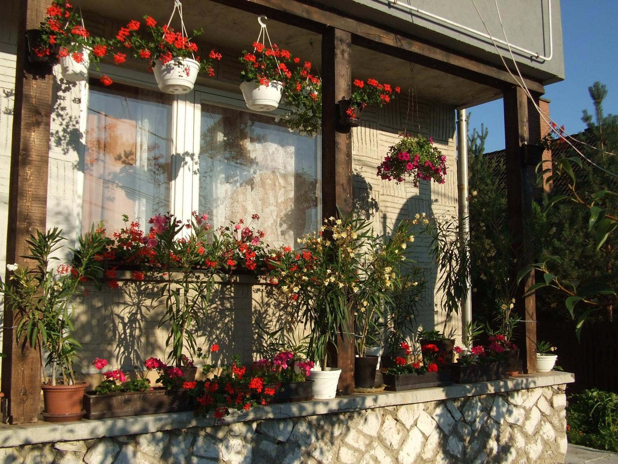 Ferienwohnung Napfeny Vendeghaz Miskolc Exterior foto